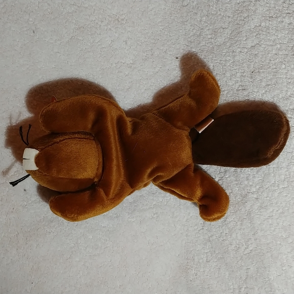 TY " Bucky " Beaver Beanie Baby - Rare w/ tag errors and P.V.C. pellets Retired - Picture 4 of 10